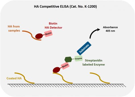 anti-ha elisa kit|Hyaluronan Enzyme.